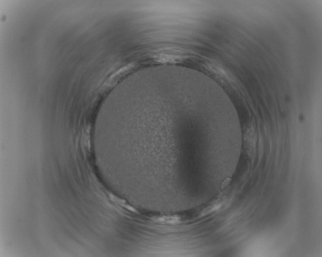 X0000065260554200602242117