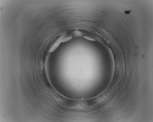 X0000065260555200602242117