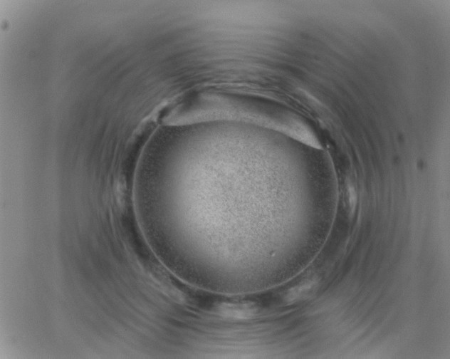 X0000065260556200602242117