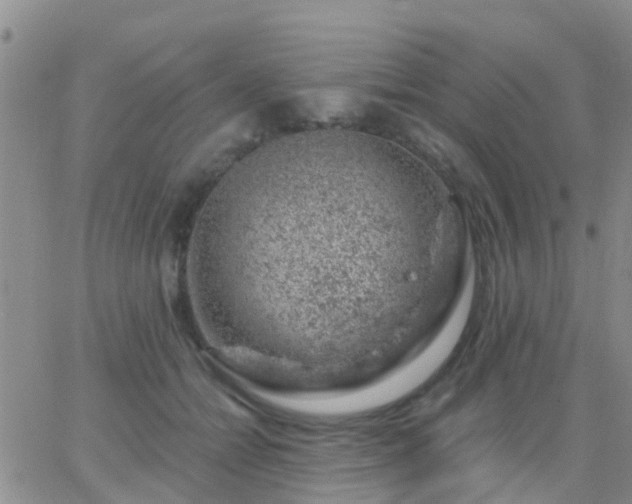 X0000065260558200602242117