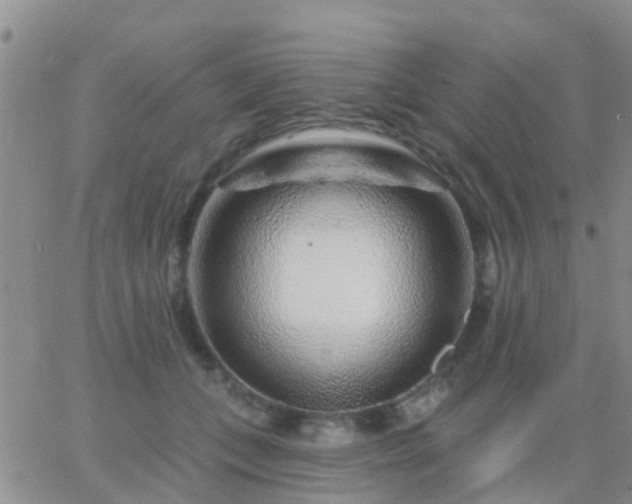 X0000065260559200602242117