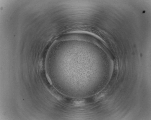 X0000065260560200602242117