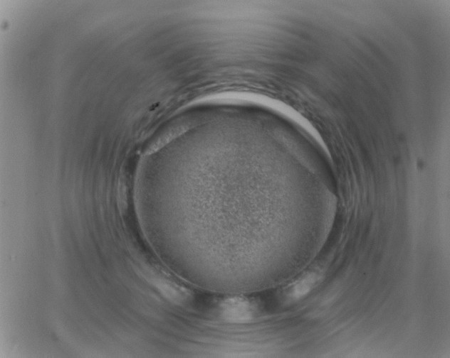 X0000065260562200602242118