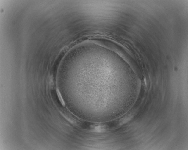 X0000065260564200602242118