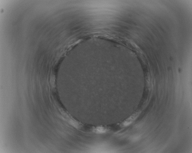 X0000065260565200602242118