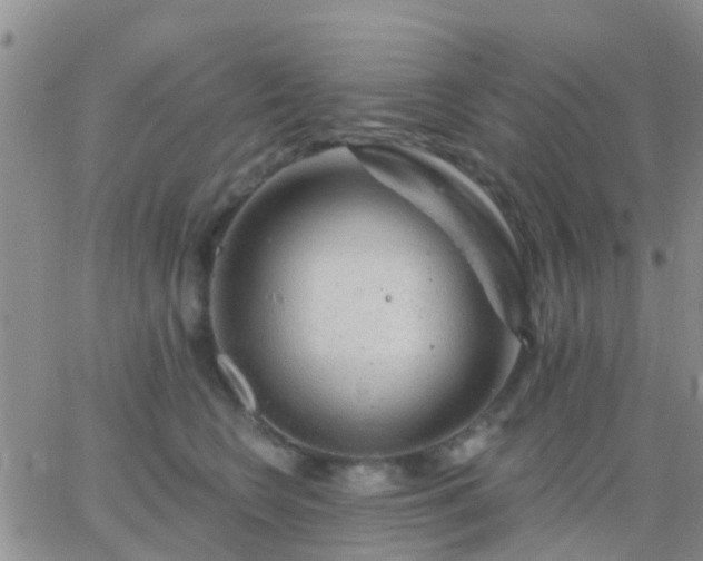 X0000065260566200602242118