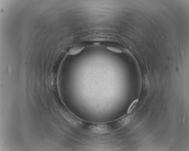 X0000065260567200602242118