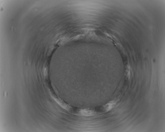 X0000065260568200602242118