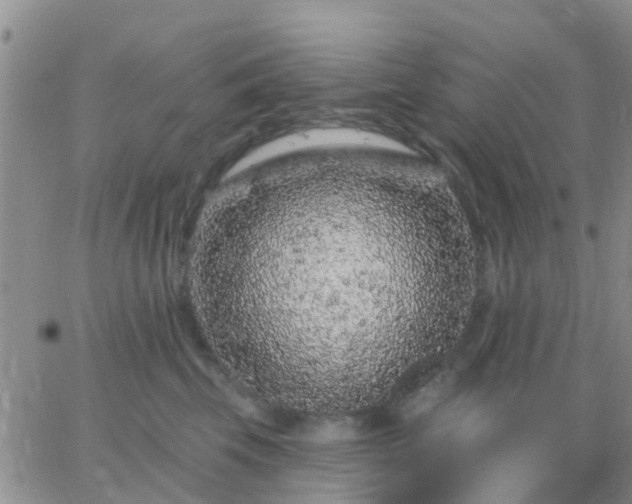 X0000065260569200602242118