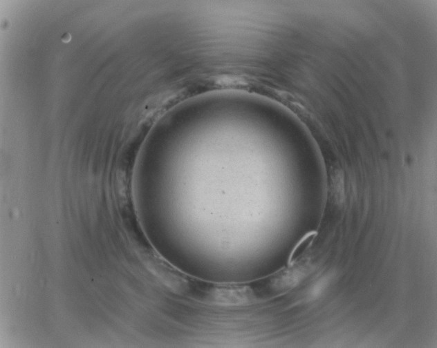 X0000065260571200602242118