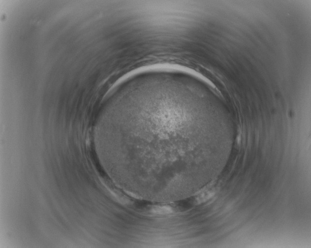 X0000065260572200602242118