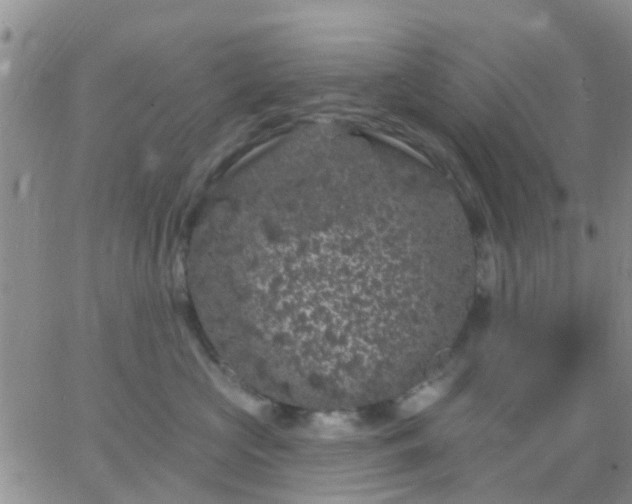 X0000065260573200602242118