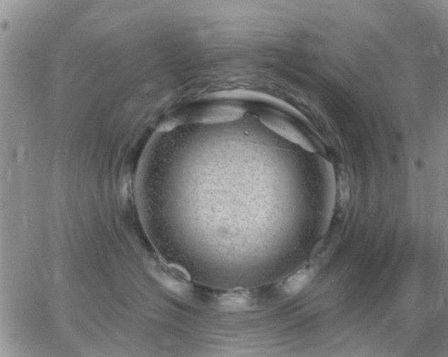 X0000065260574200602242118