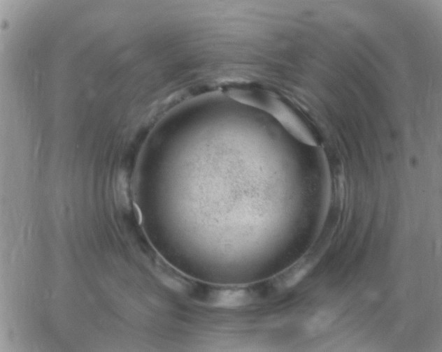 X0000065260575200602242118