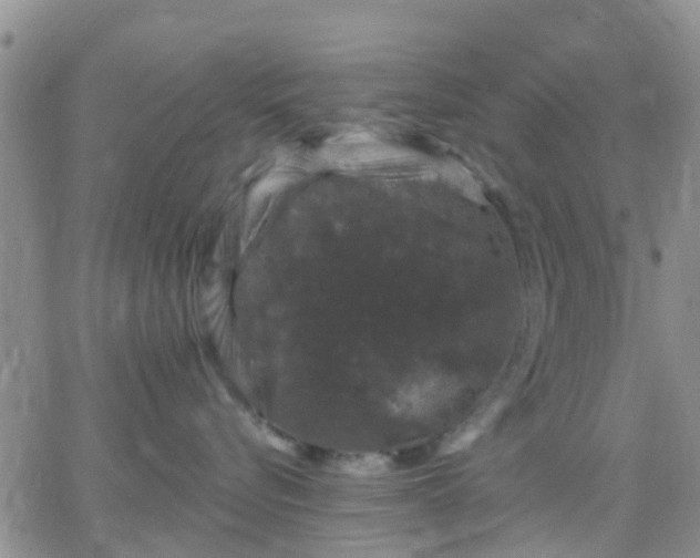 X0000065260576200602242118