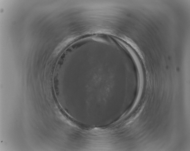 X0000065260577200602242117