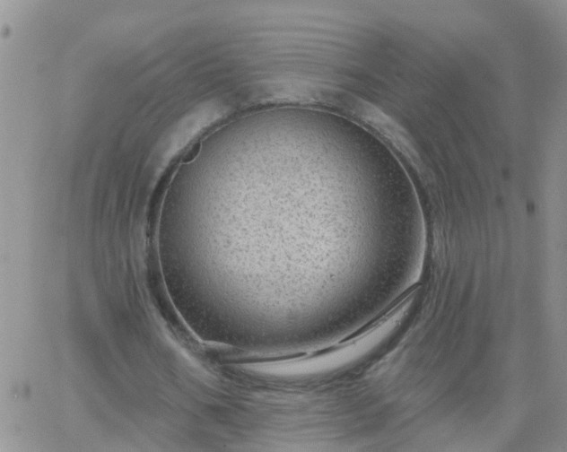 X0000065260578200602242117