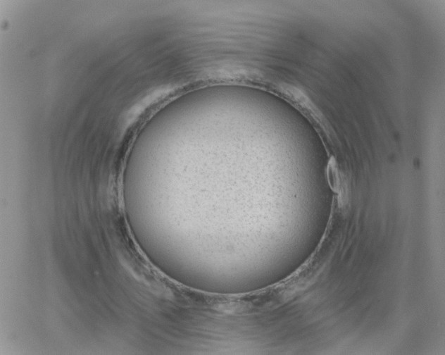 X0000065260579200602242117