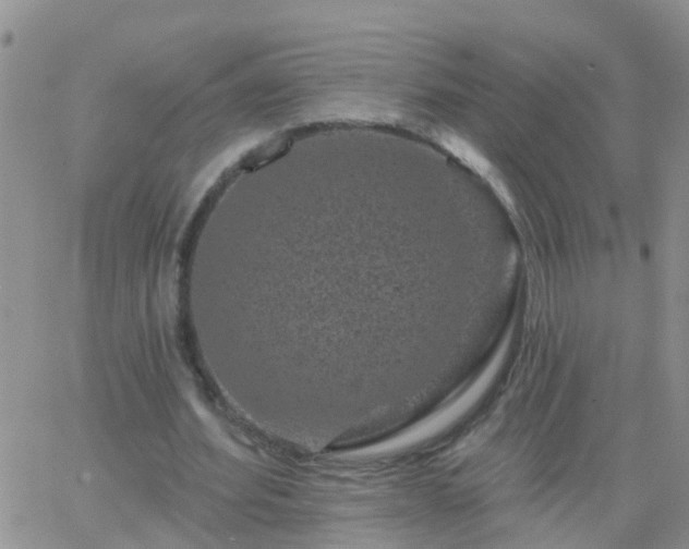 X0000065260580200602242117