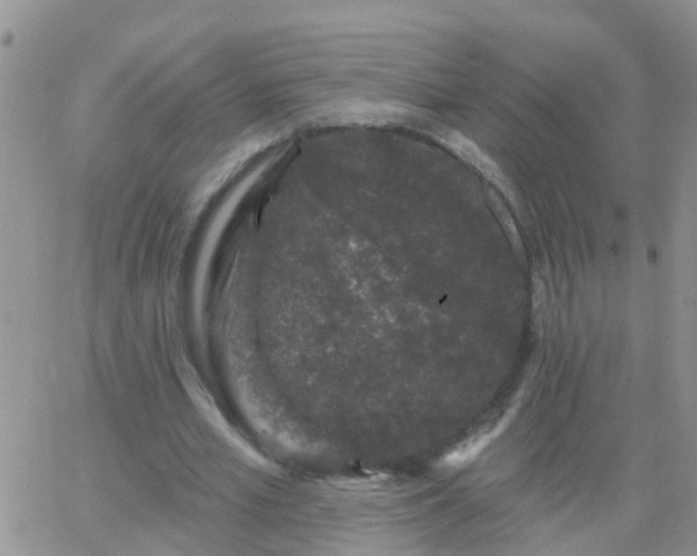 X0000065260581200602242117