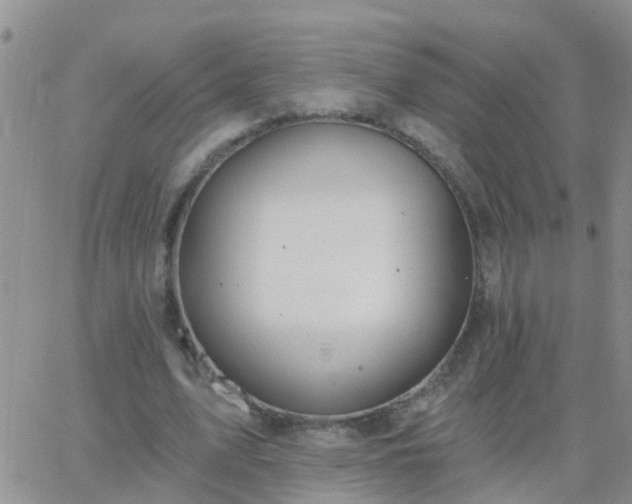 X0000065260583200602242117