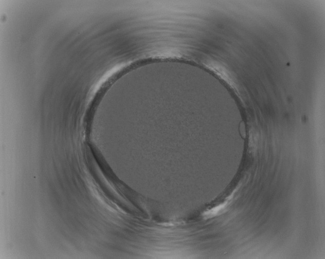 X0000065260584200602242117