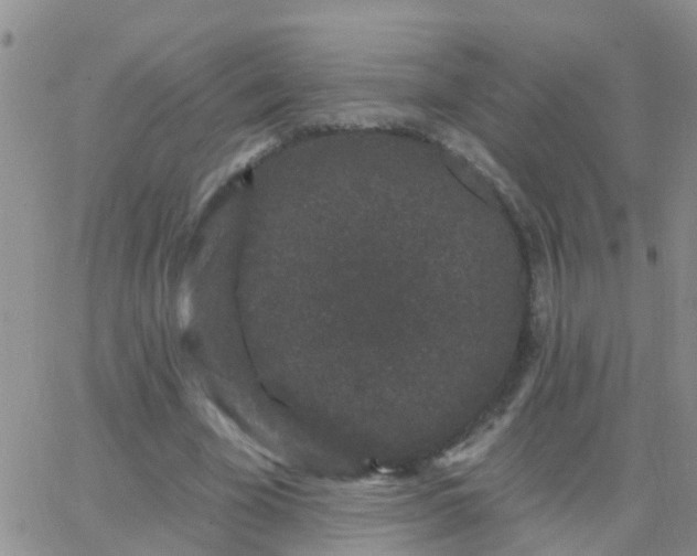 X0000065260585200602242117