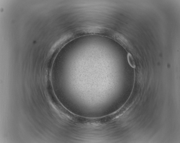 X0000065260586200602242117