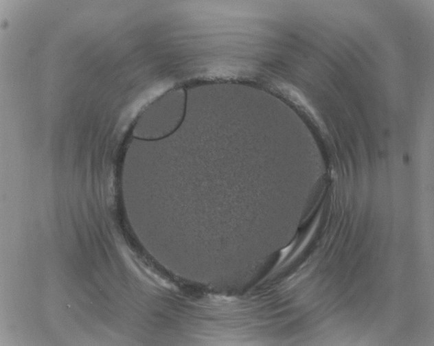 X0000065260588200602242117