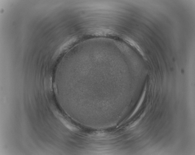 X0000065260589200602242117