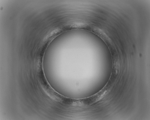 X0000065260591200602242117