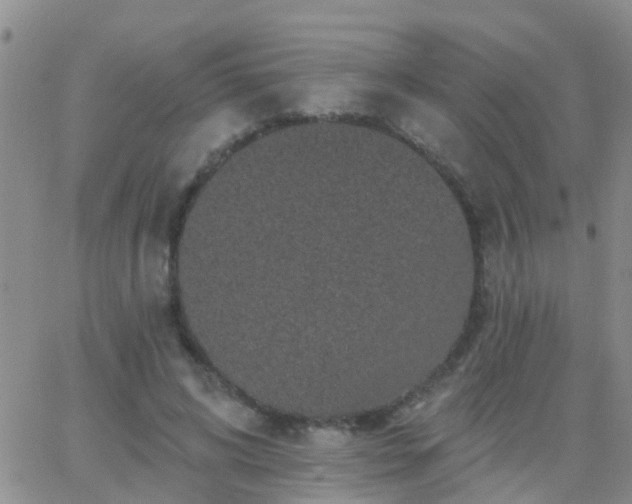 X0000065260592200602242117