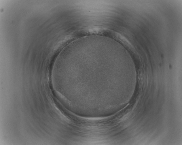 X0000065260593200602242117