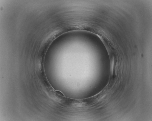 X0000065260595200602242117