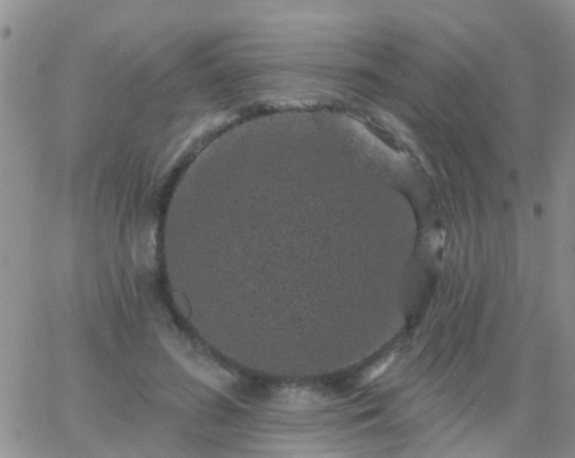 X0000065260596200602242117