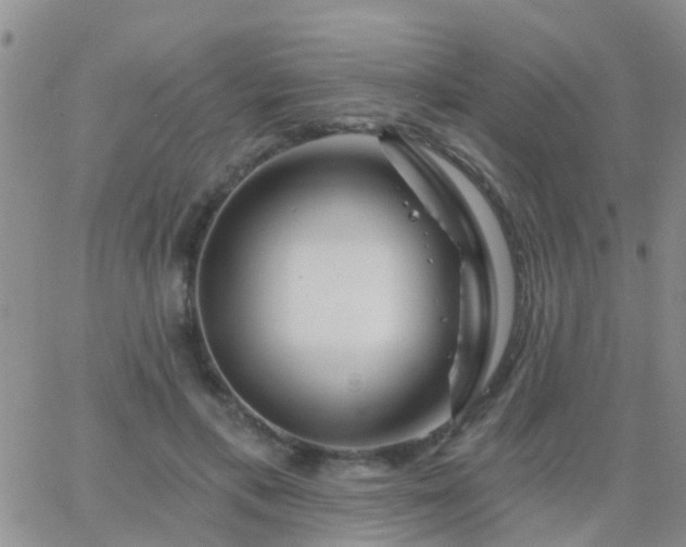 X0000065260597200602242117