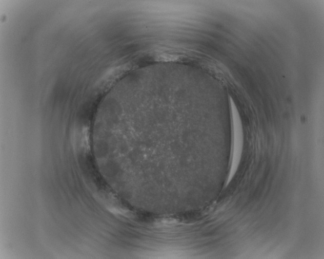 X0000065260598200602242117