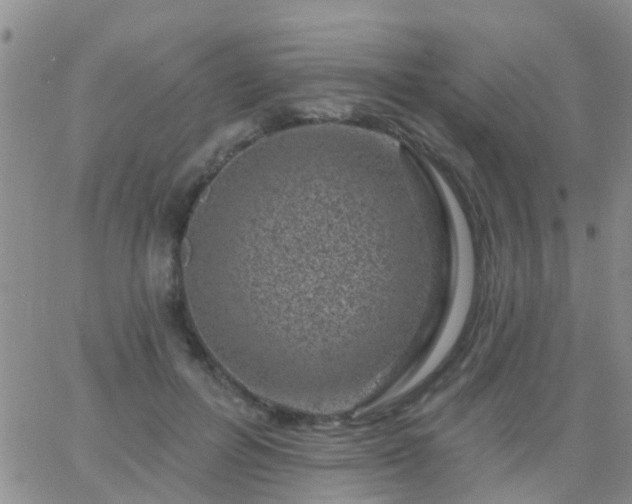 X0000065260600200602242117