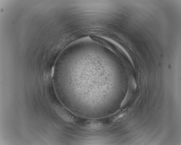 X0000065260601200602242117