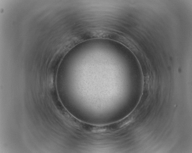 X0000065260602200602242117