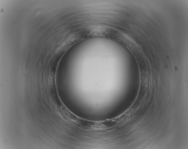 X0000065260603200602242117