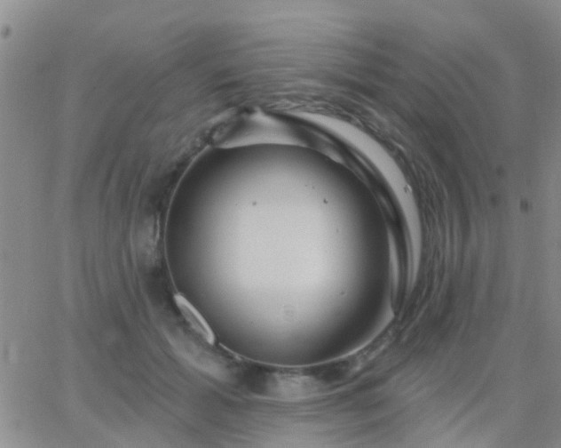 X0000065260605200602242116