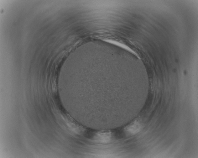 X0000065260606200602242116