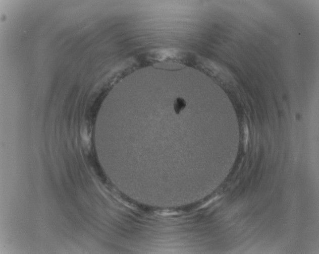 X0000065260607200602242116