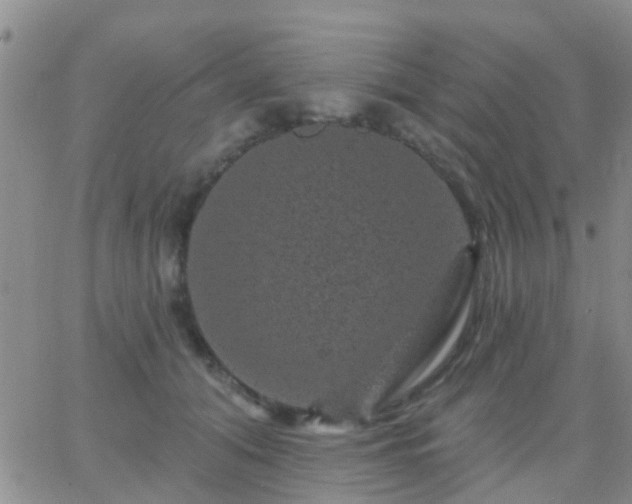 X0000065260608200602242116