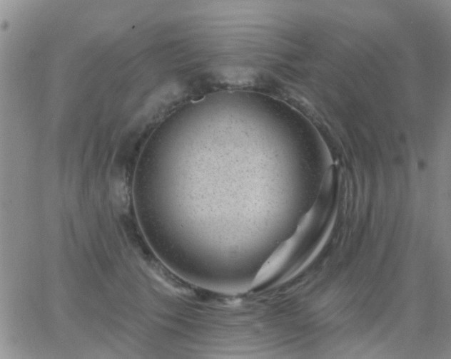 X0000065260609200602242116