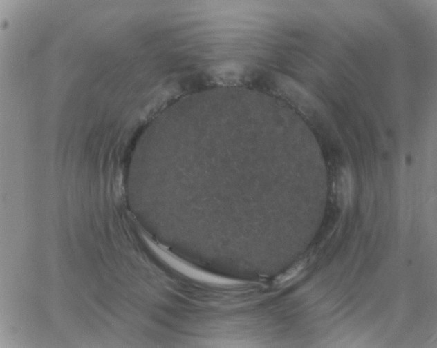 X0000065260610200602242116