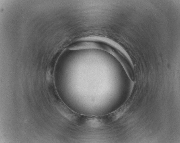 X0000065260611200602242116