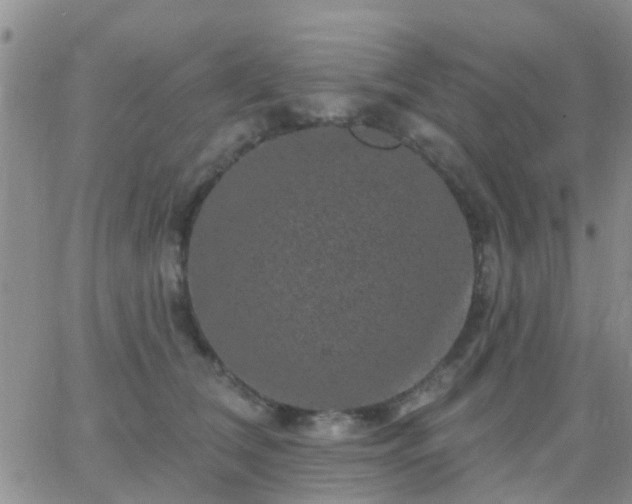 X0000065260612200602242116