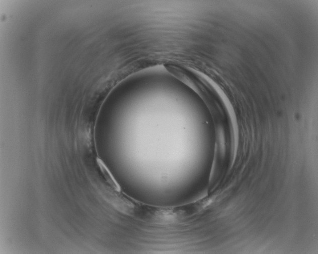 X0000065260613200602242116